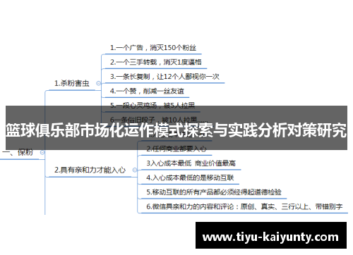 篮球俱乐部市场化运作模式探索与实践分析对策研究