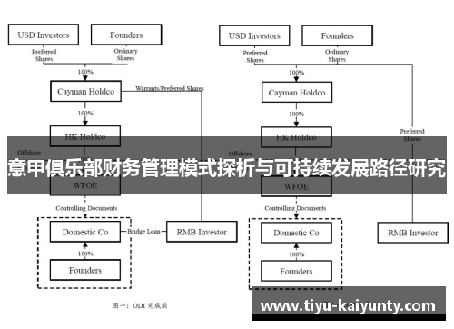 意甲俱乐部财务管理模式探析与可持续发展路径研究