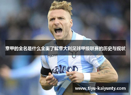 意甲的全名是什么全面了解意大利足球甲级联赛的历史与现状