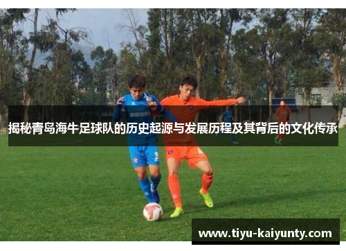 揭秘青岛海牛足球队的历史起源与发展历程及其背后的文化传承 揭秘青岛海牛足球队的历史起源与发展历程及其背后的文化传承